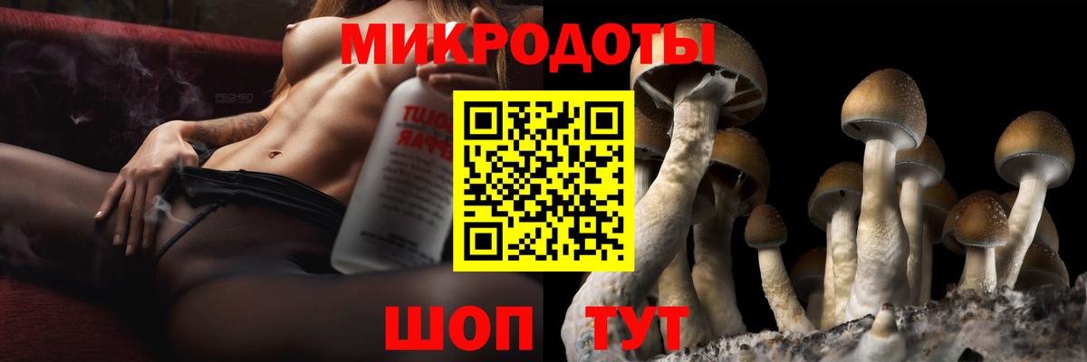 Малгобек  Псилоцибиновые грибы Magic Shrooms  купить закладку  Вход с VPN 